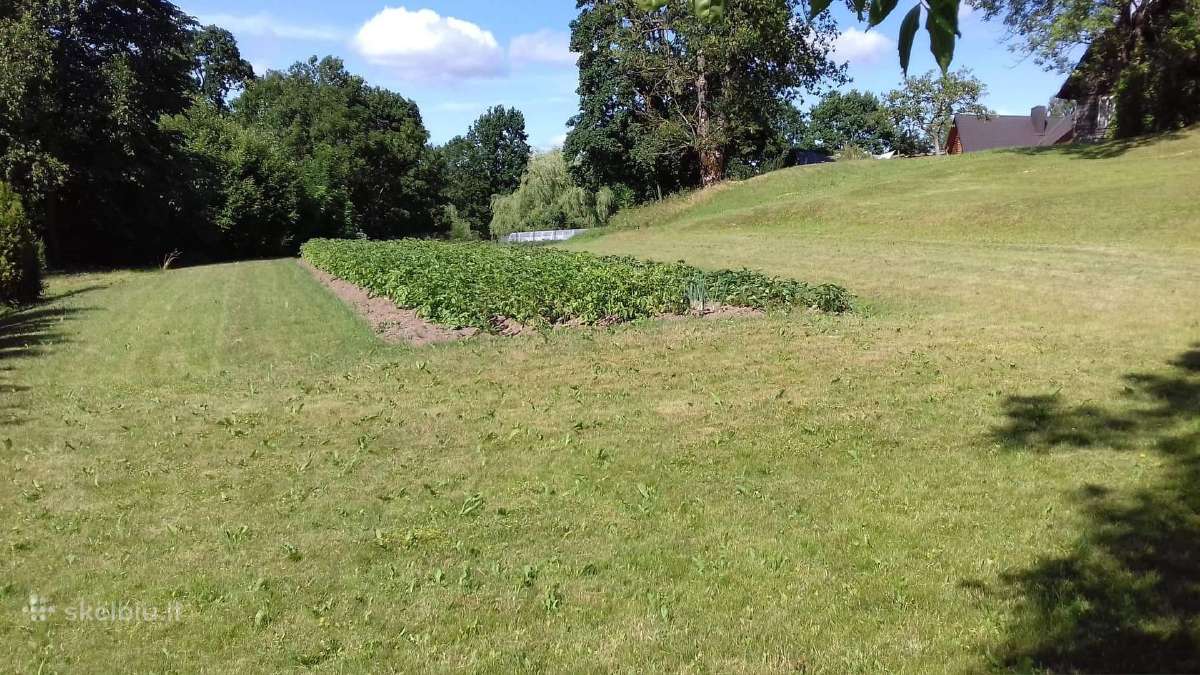 Parduodamas 19 a. Žemės sklypas Telšių r.