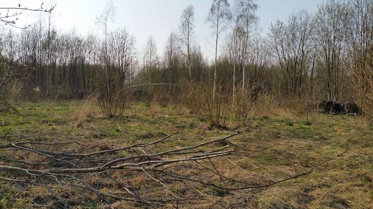 Žavus sklypas Pavilny, tinkantis Dvibučio statybai - nuotraukos Nr. 2