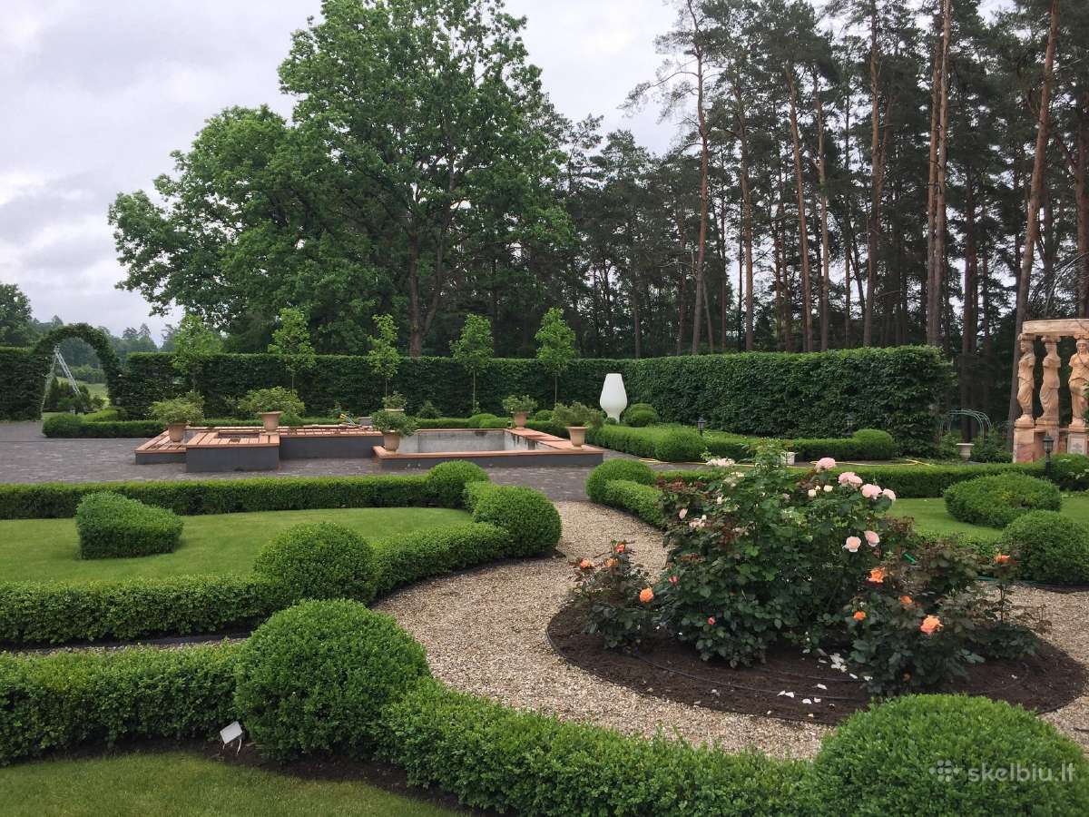 Gyvatvorių kirpimas, sodų purškimas - nuotraukos Nr. 13