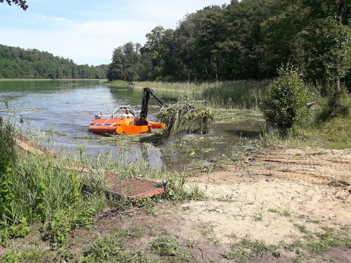Nendrių, švendrų, meldų pjovimas bei išvežimas | Skelbiu.lt Nendrių, švendrų, meldų pjovimas bei išvežimas