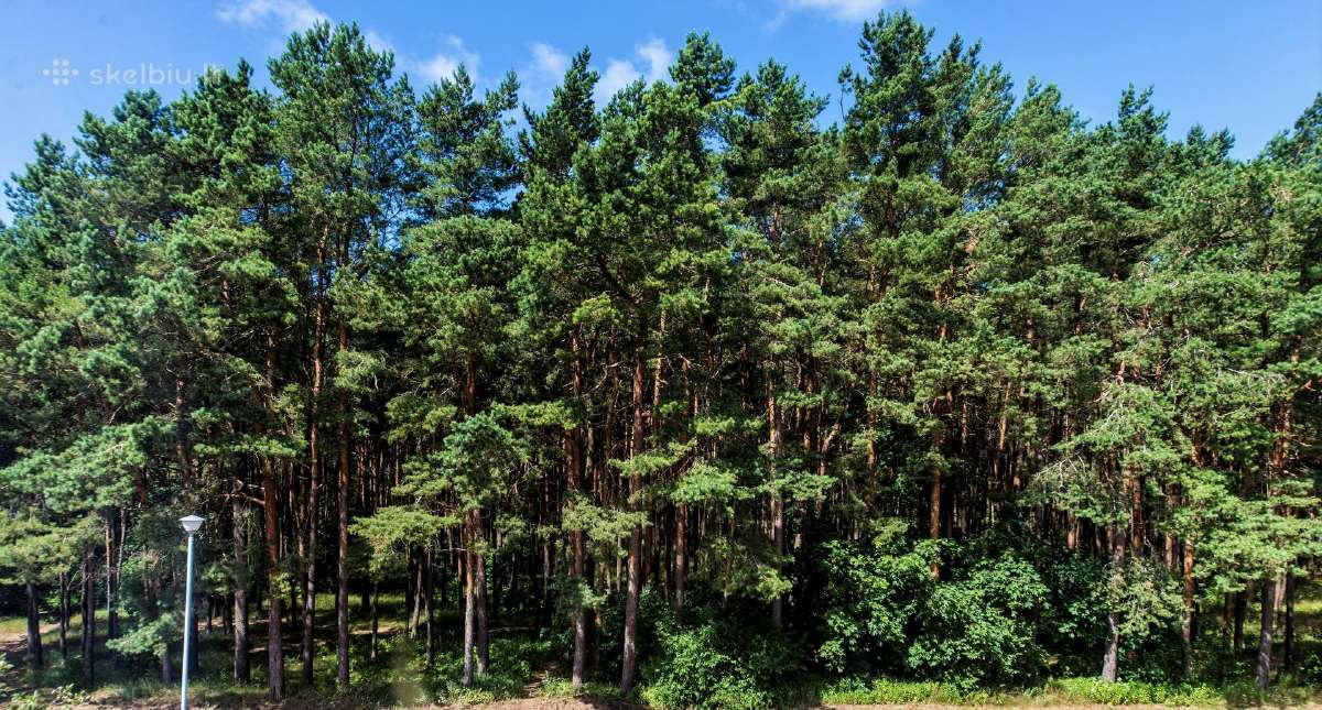 Neringa svečių namai, Neringos 8 - arti jūros - nuotraukos Nr. 6