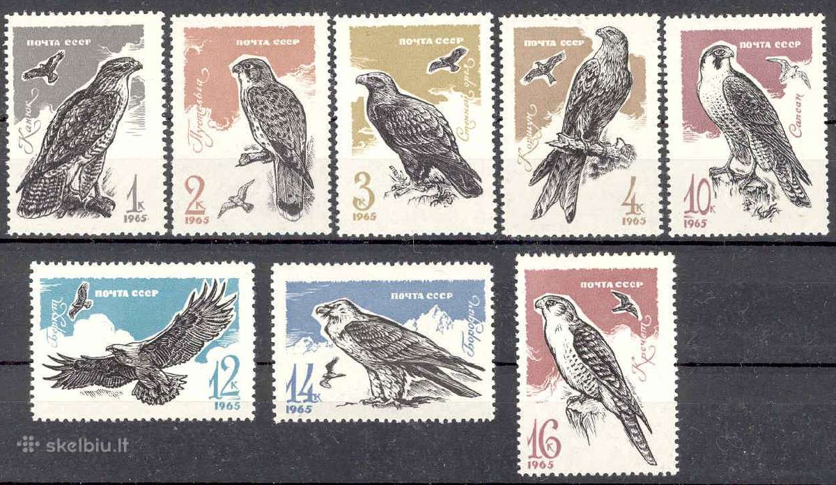 Ssr tematika - nuotraukos Nr. 9