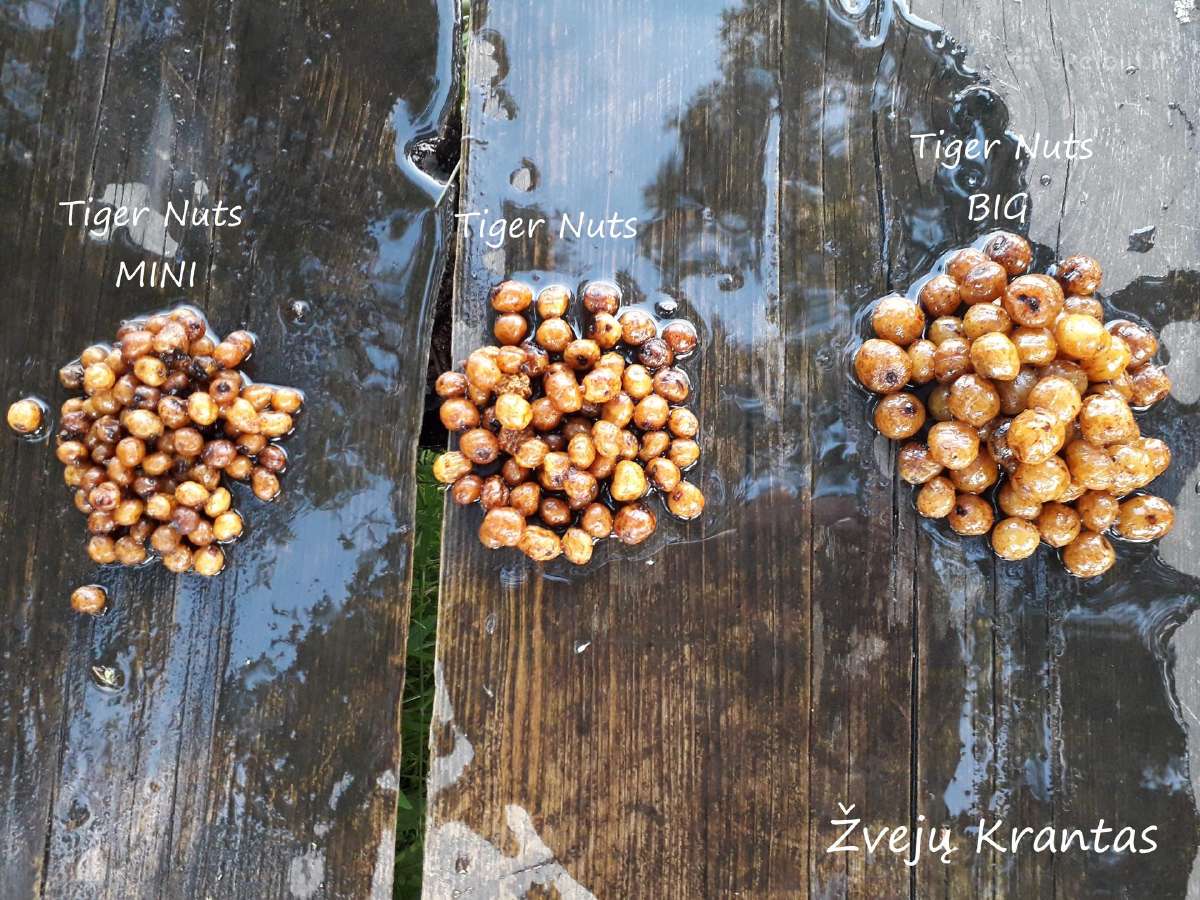 Šutinti tigriniai riešutai Mini - nuotraukos Nr. 2