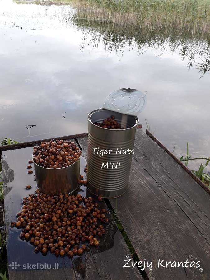 Šutinti tigriniai riešutai Mini - nuotraukos Nr. 4