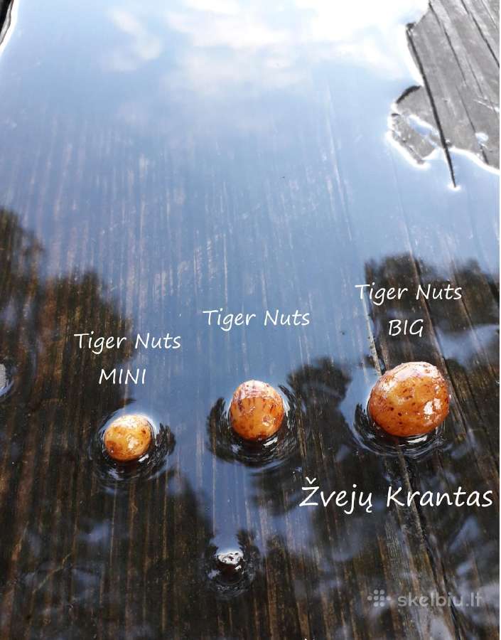 Šutinti tigriniai riešutai Mini | Skelbiu.lt Šutinti tigriniai riešutai Mini