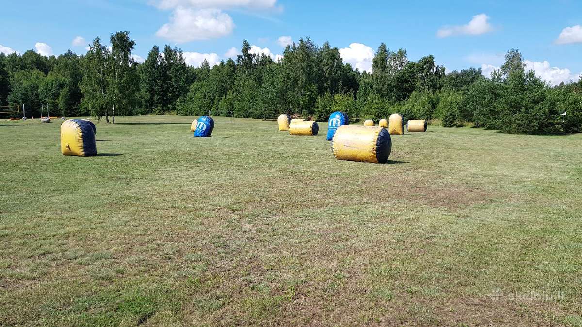 Mėgaukis dažasvydžiu visur tel. | Skelbiu.lt Mėgaukis dažasvydžiu visur tel.