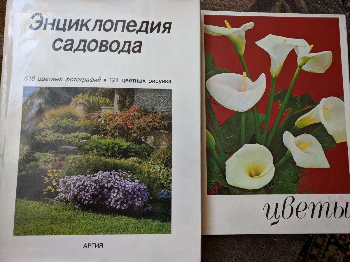 Įvairios knygos apie gamtą, miestus - nuotraukos Nr. 3