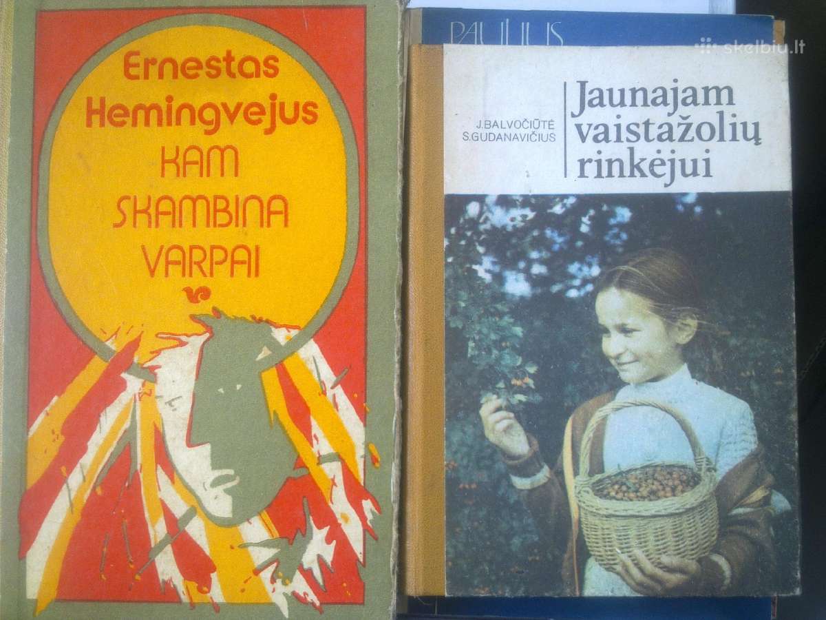 E. Hemingvėjus
