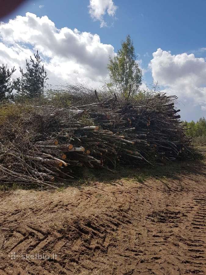 Ieškomas pjovėjas dirbti biokuro ruošos darbus. - nuotraukos Nr. 2
