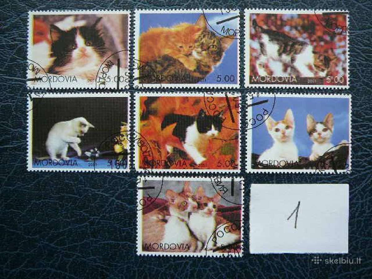 Kates 6 komplektai antsp. kat01/7