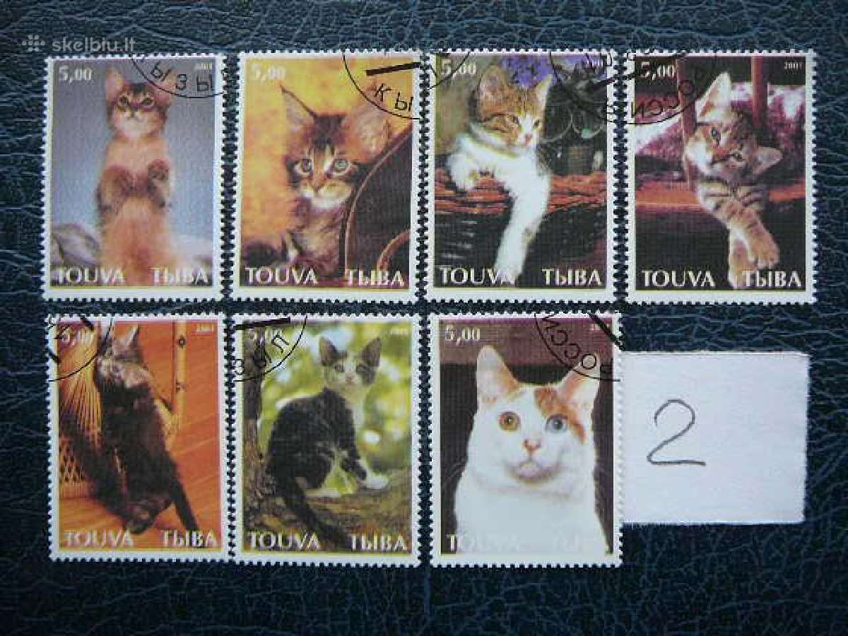 Kates 6 komplektai antsp. kat01/7 - nuotraukos Nr. 2