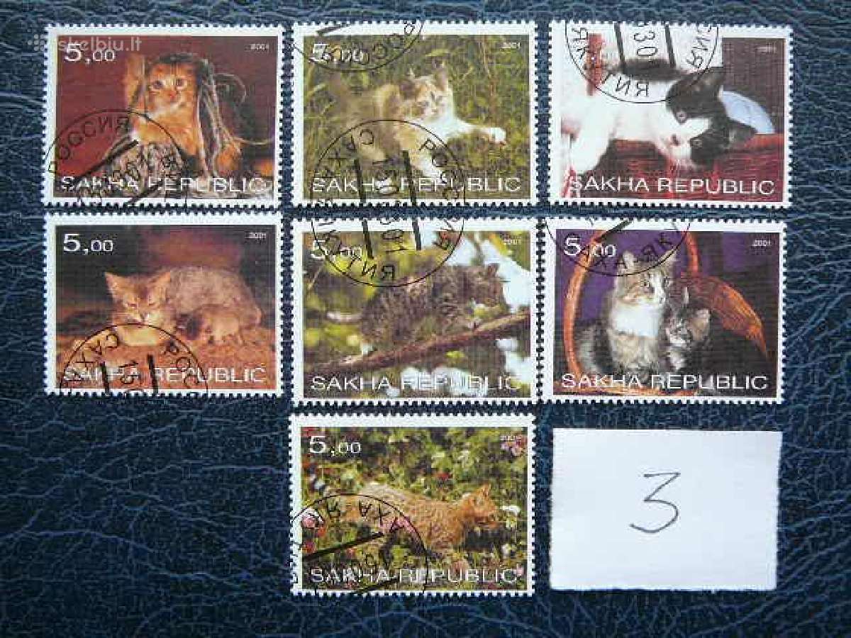 Kates 6 komplektai antsp. kat01/7 - nuotraukos Nr. 3