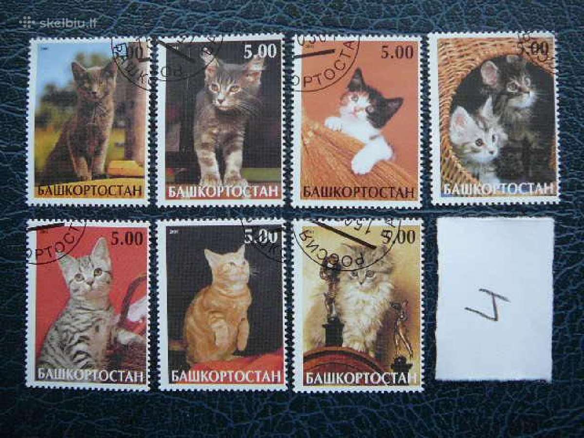 Kates 6 komplektai antsp. kat01/7 - nuotraukos Nr. 4