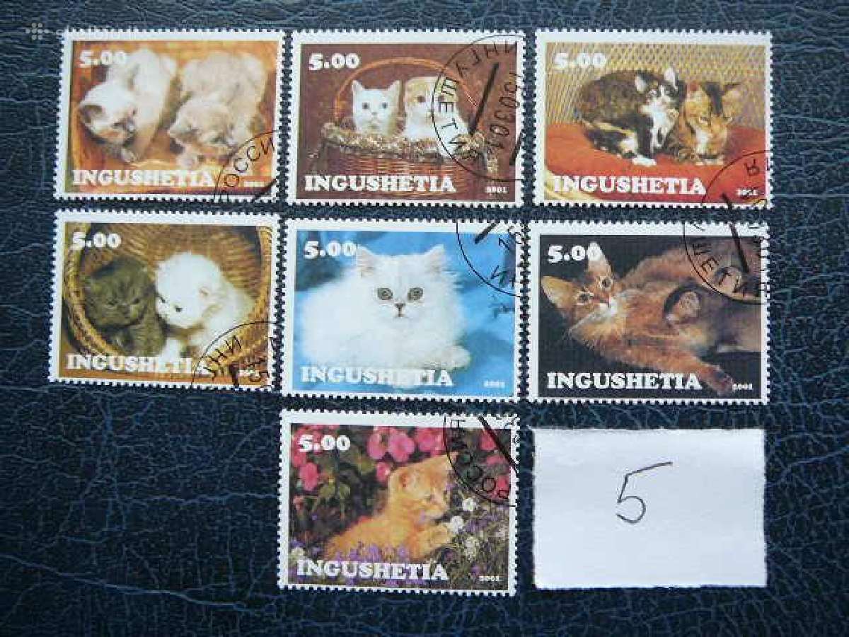 Kates 6 komplektai antsp. kat01/7 - nuotraukos Nr. 5