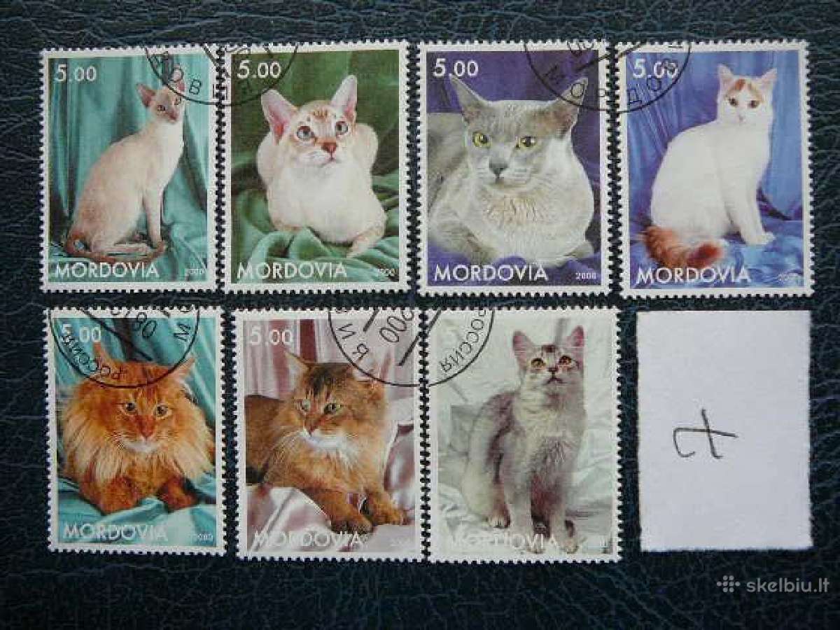 Kates 6 komplektai antsp. kat01/7 - nuotraukos Nr. 6