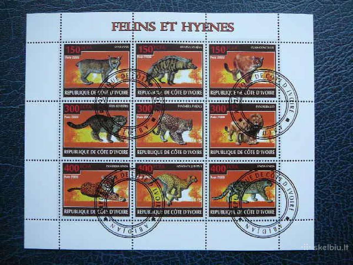 Liutai Pumos Lusis Ivory Coast 2009 antsp. s463