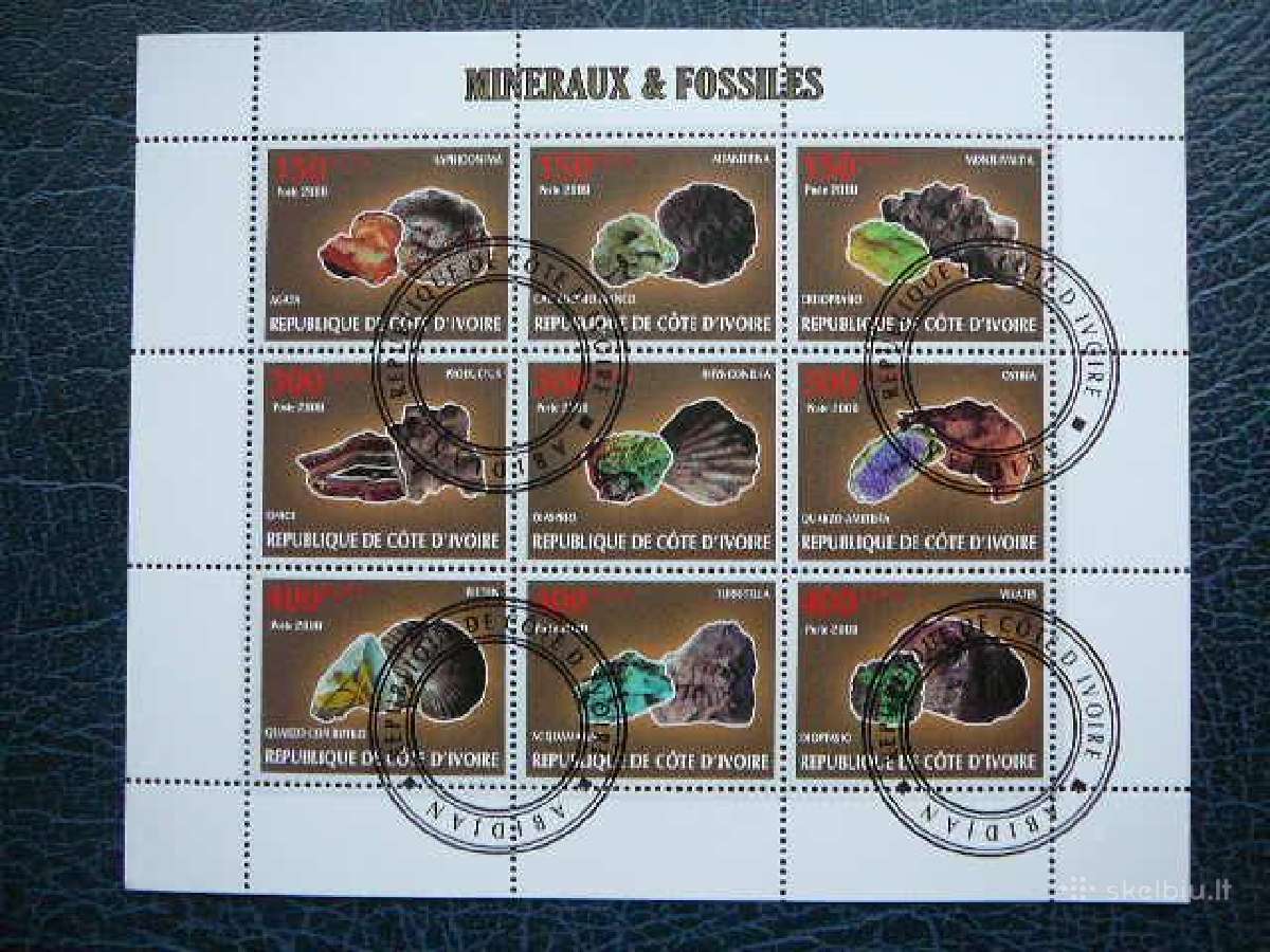 Mineralai Fosiles Ivory Coast 2009 antsp. s460