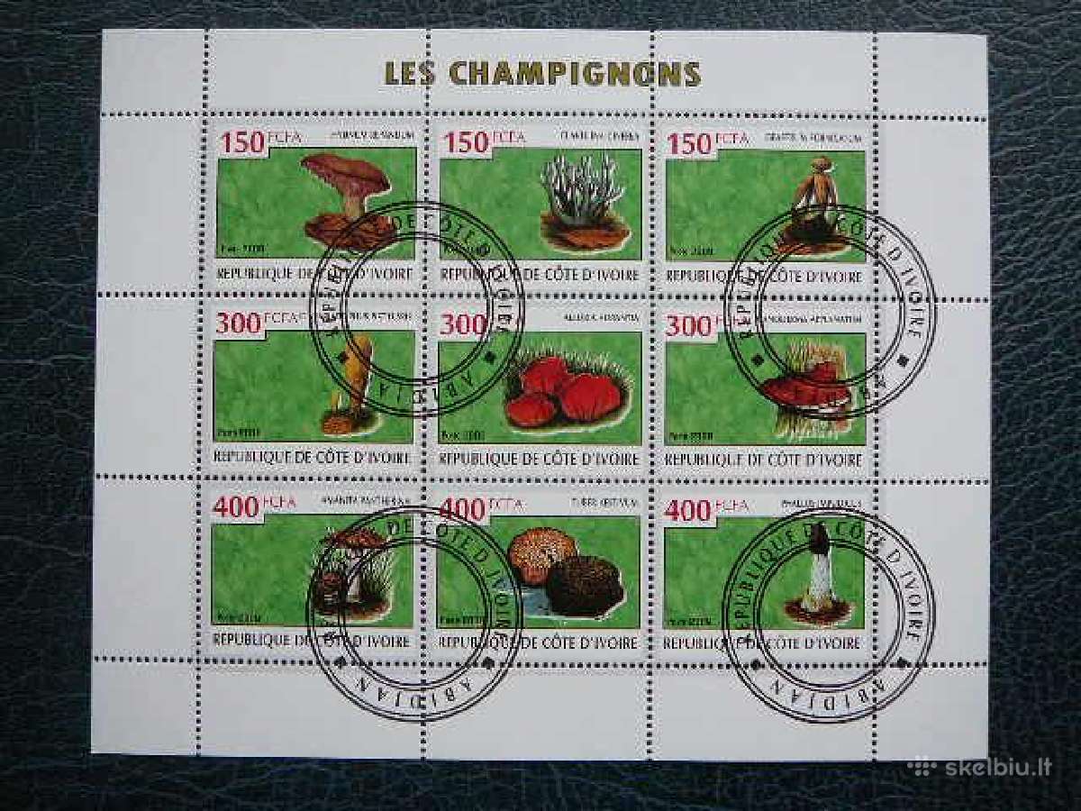 Grybai Ivory Coast 2009 antsp. s459