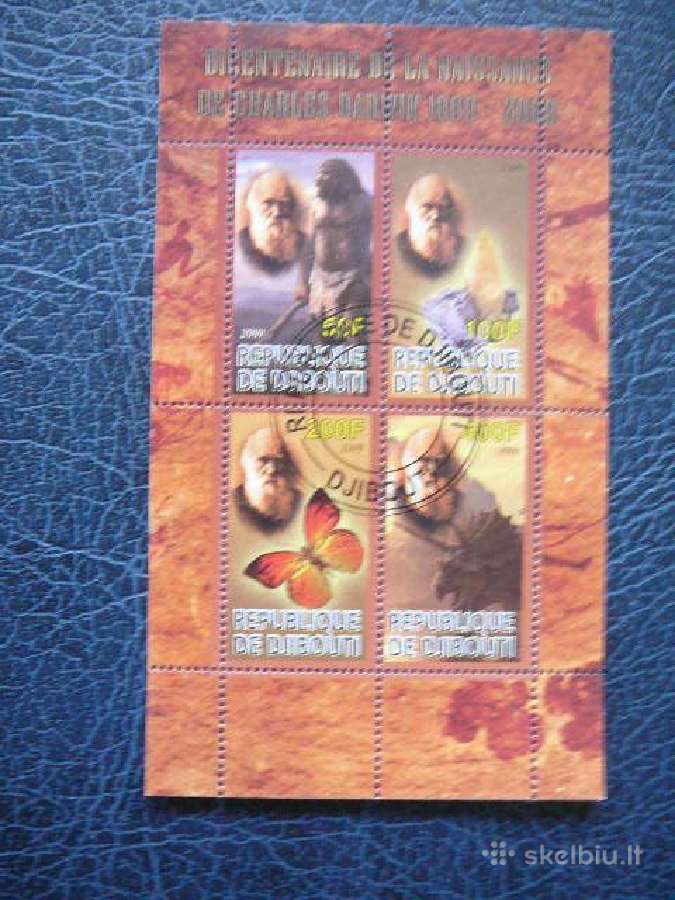 Drugeliai Dinozaurai Darvinas Dzibutis 2009 s566
