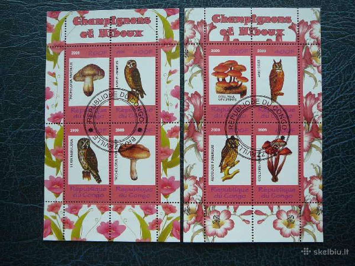 Grybai Peledos Pauksciai Kongas 2009 antsp. s499/0