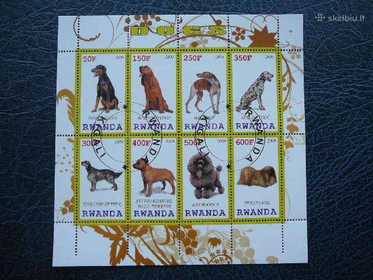 Sunys Ruanda 2009 antsp. s582