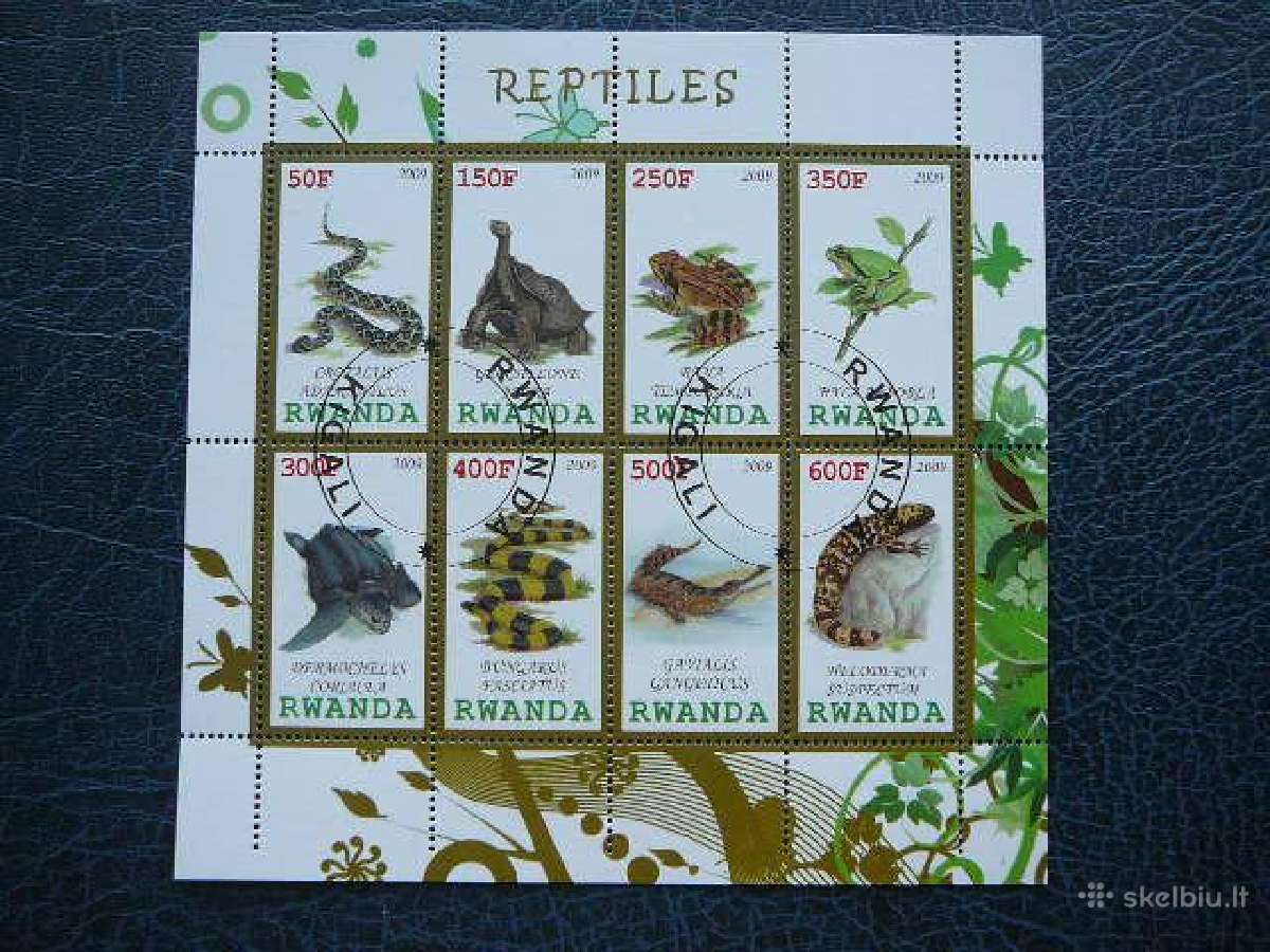 Reptilijos Gyvates Varles Ruanda 2009 antsp. s583