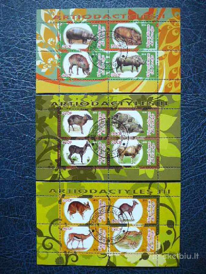 Zverys 6x antsp. s719/4