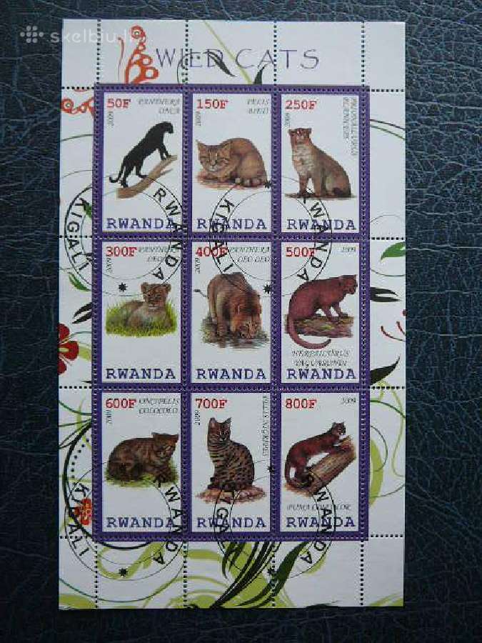 Kates laukines Ruanda 2009 antsp. s577