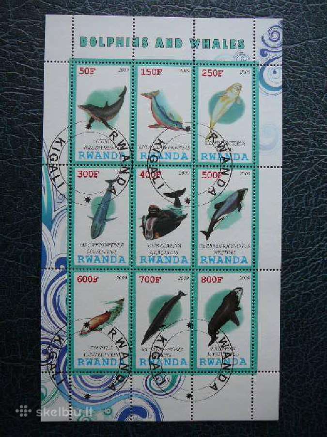 Delfinai Banginiai Ruanda 2009 antsp. s580