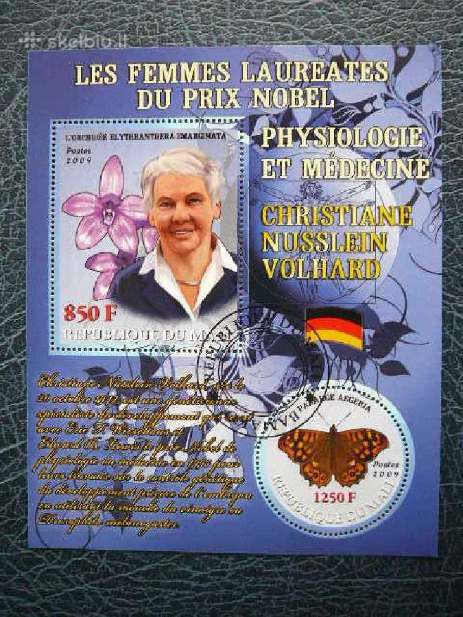 Nobelio premijos laureat. Drugeliai Orchidejos #15