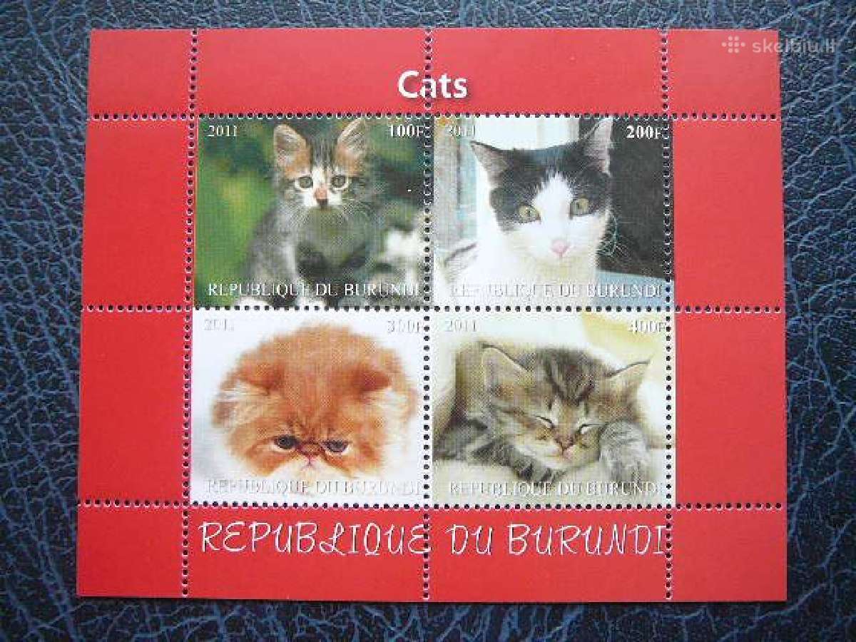 Kates Burundis 2011 svarus b1221