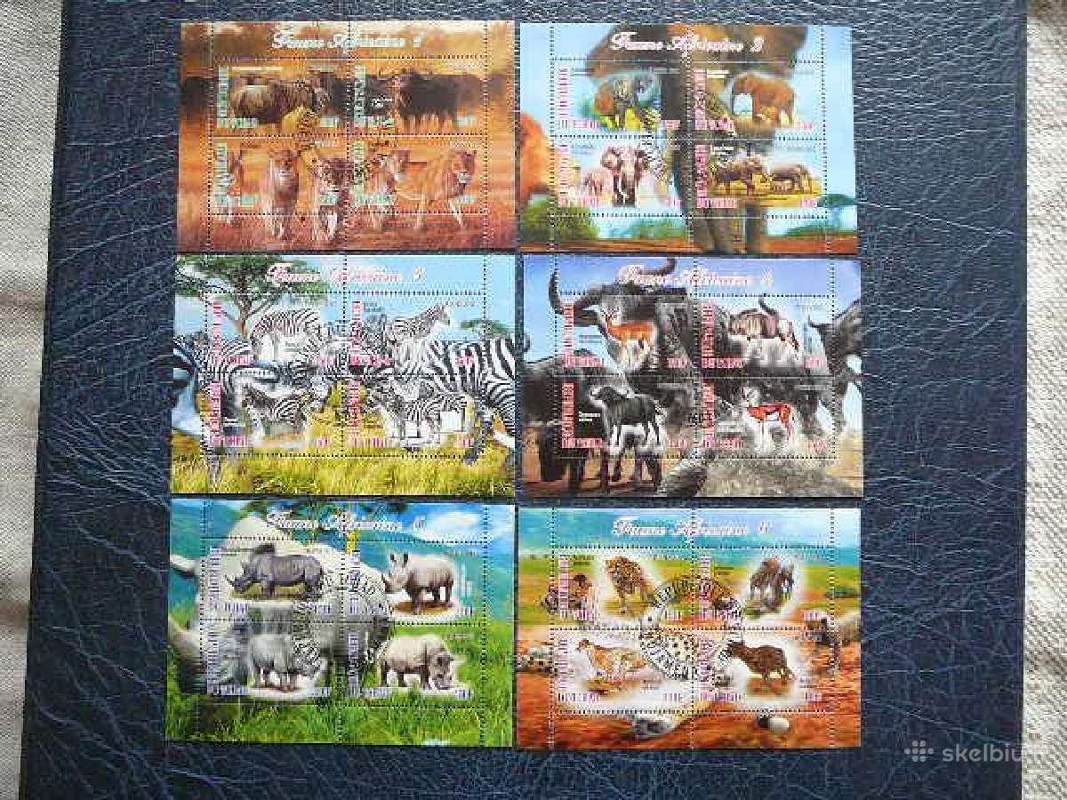 Zverys Afrikos Cadas 2012 antsp. g547/2