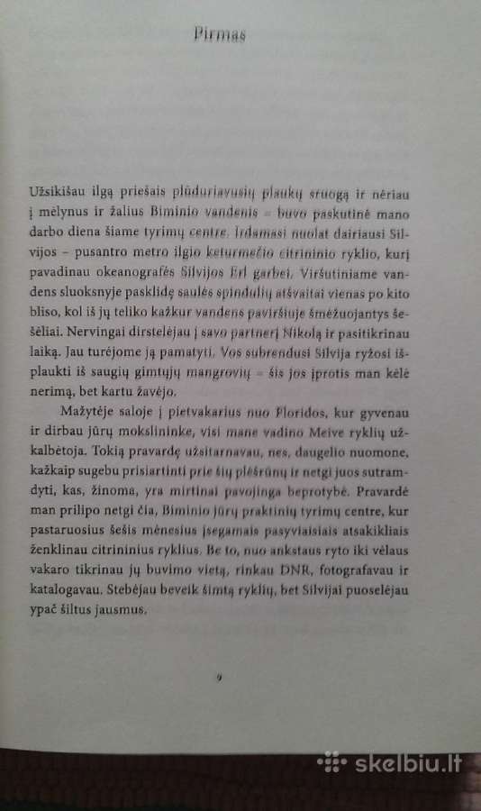 "Mūzų Viešbutis",ann Kidd Taylor,2018m.roman - nuotraukos Nr. 3