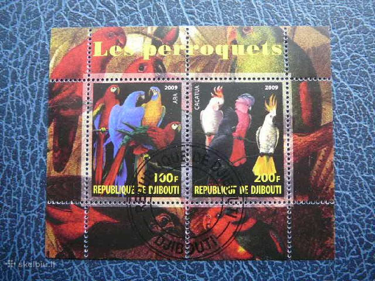 Pauksciai Papugos 2009 antsp. g029