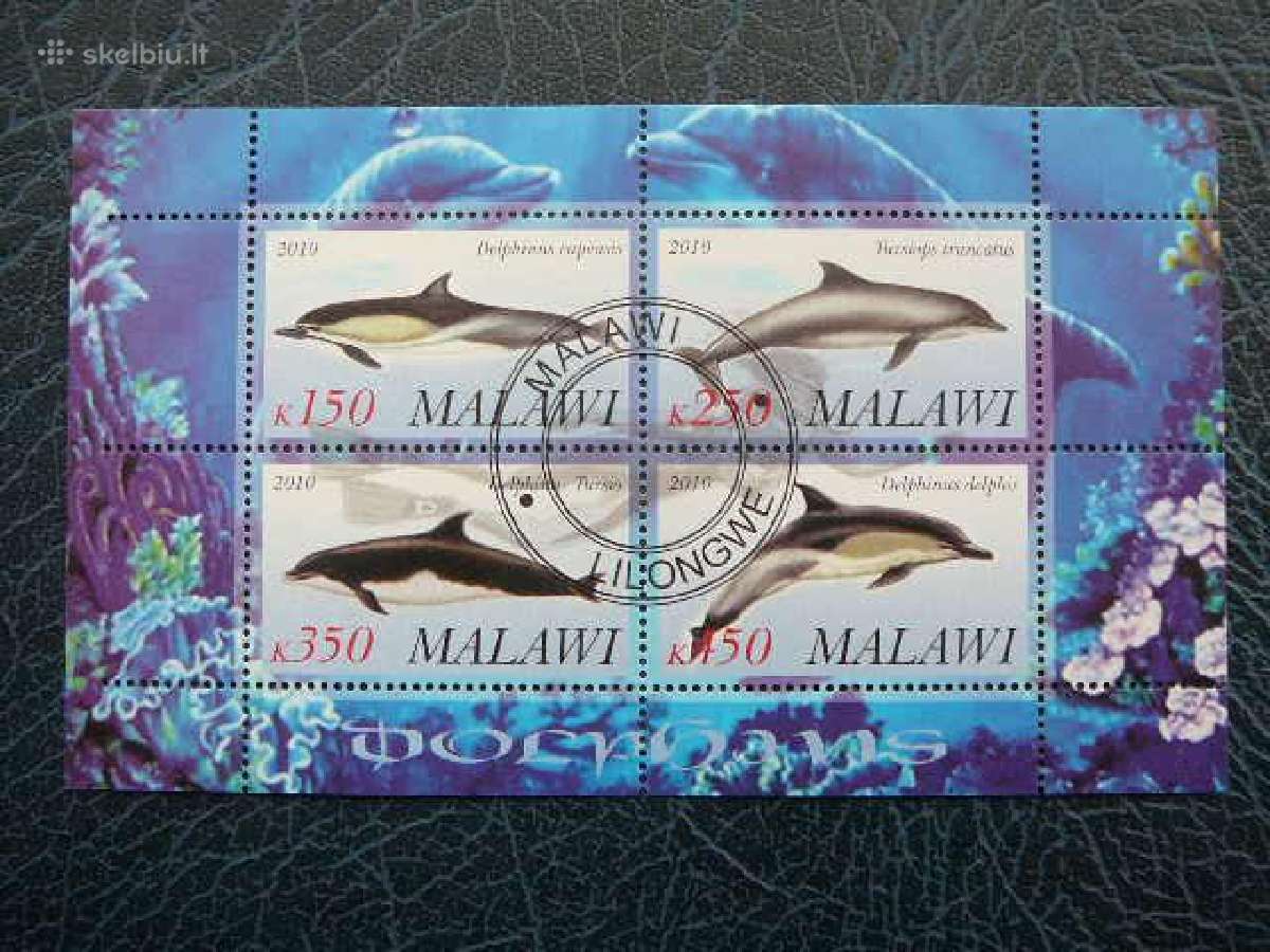 Delfinai Malavis 2010 antsp. g102