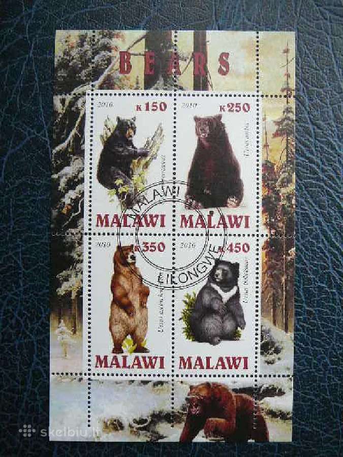 Meskos Malavis 2010 antsp. g127