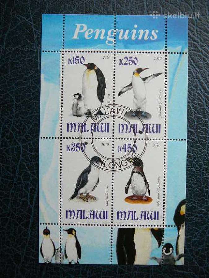 Pingvinai Malavis 2010 antsp. g150