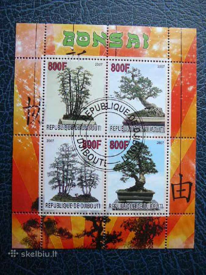 Bonsai Dzibutis 2007 antsp. s059