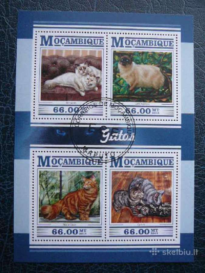 Kates Mozambikas 2015 antsp. mb504