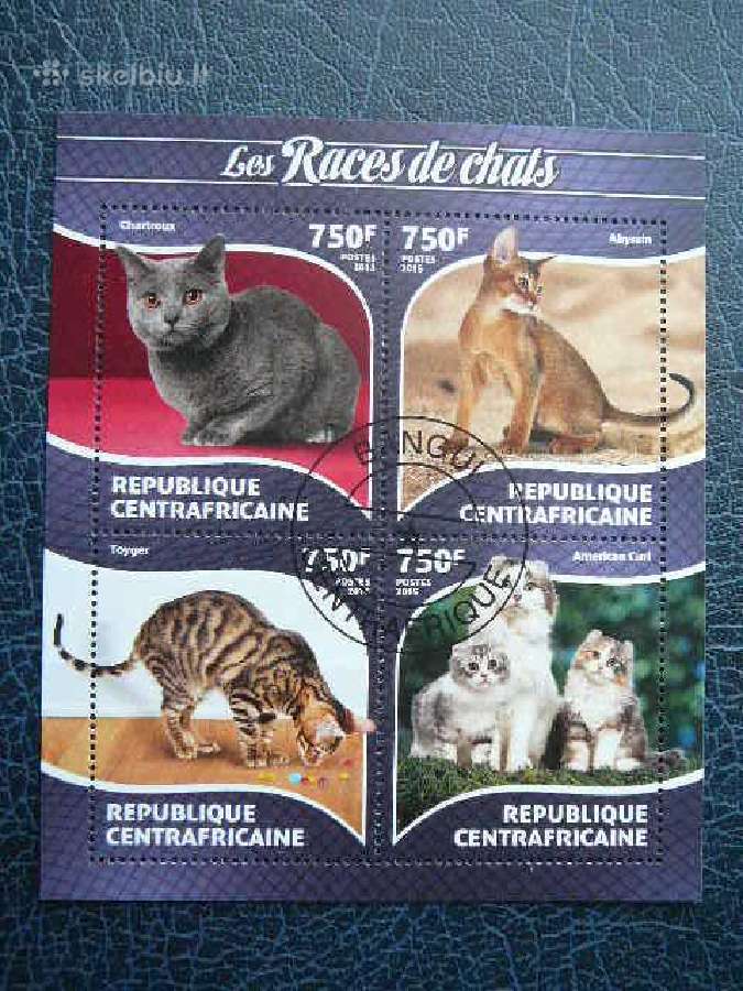 Kates Centr. Afrikos Resp. 2015 antsp. caf151