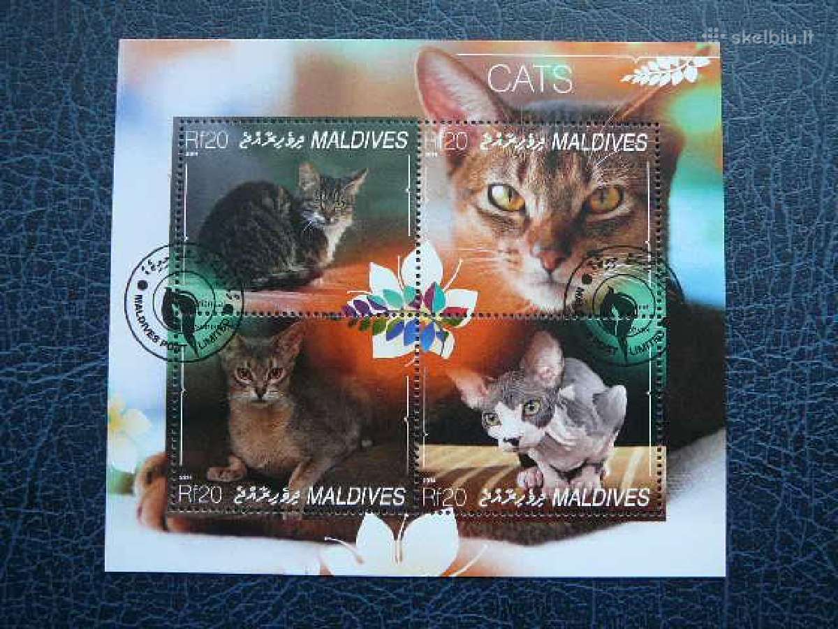 Kates Maldyvai 2014 antsp. mal226