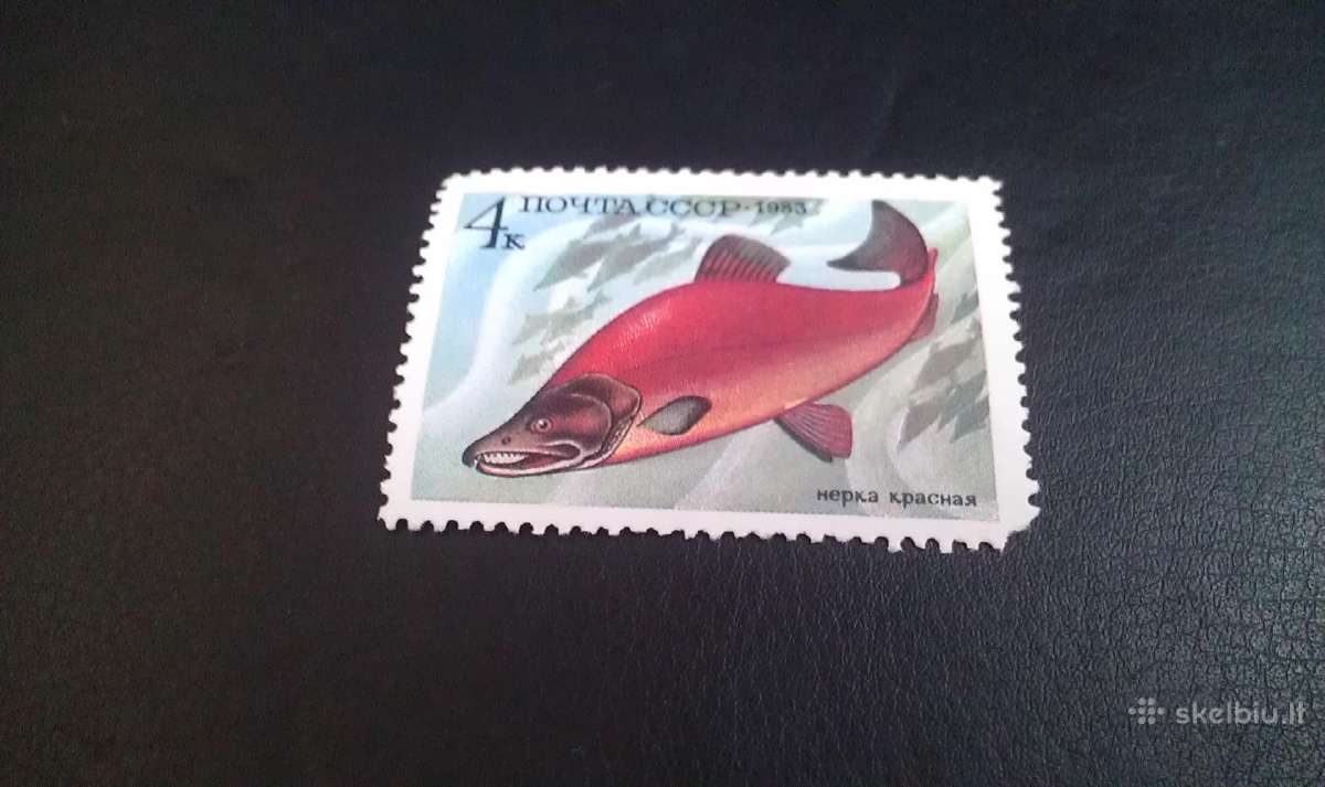 Pašto ženklas 1983 m. markutė be spaudo