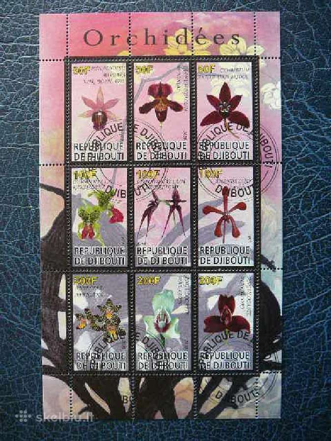Orchidejos Geles Dzibutis 2010 antsp. s614