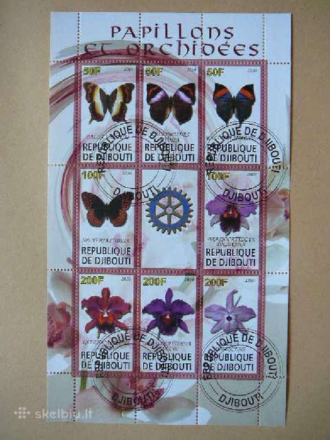 Drugeliai Orchidejos#s687 | Skelbiu.lt Drugeliai Orchidejos#s687