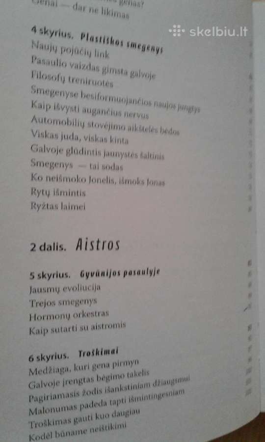 S. Klein Laimes formule -2003m. - nuotraukos Nr. 4