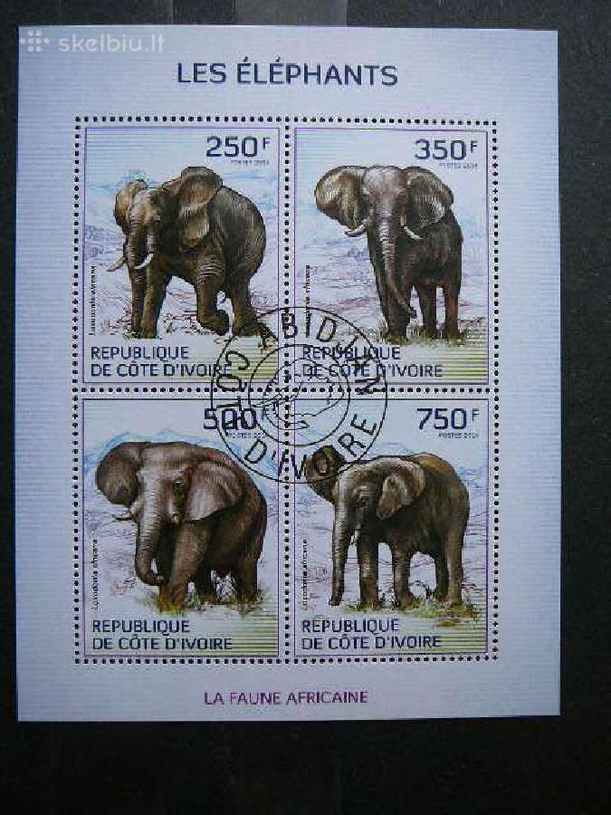 Drambliai Ivory Coast 2014 antsp. cdi221