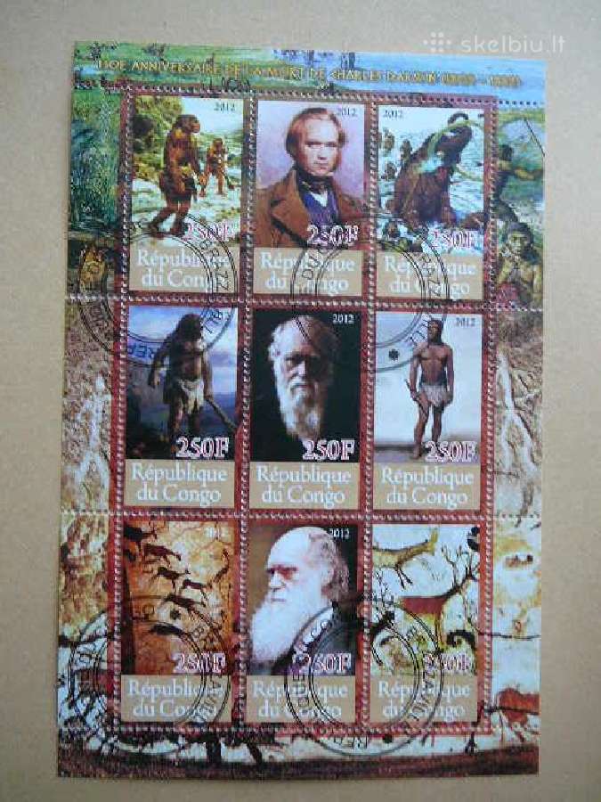 C. Darvinas Homo Sapiens Kongas 2012 s1017