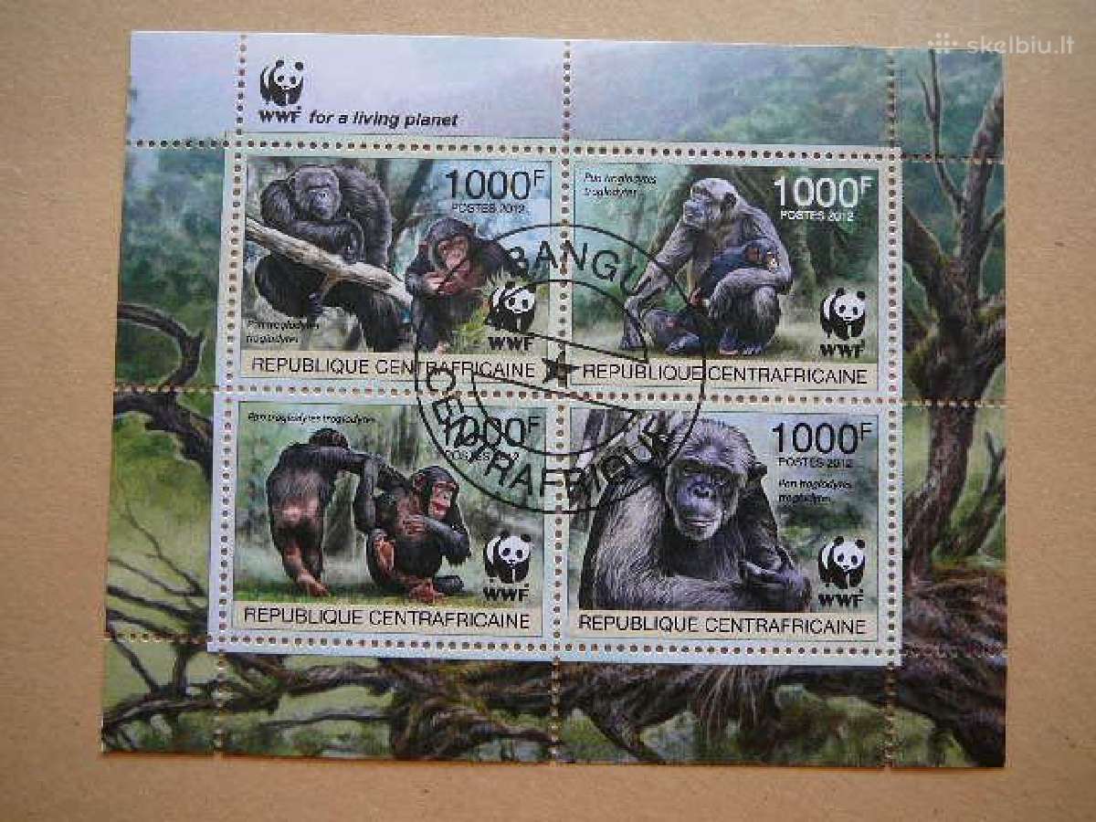 Bezdziones Centr. Afrikos Resp. 2012 antsp. caf144