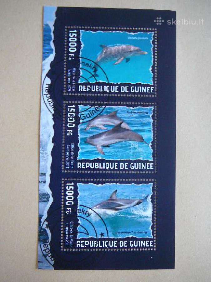 Delfinai Gvineja 2014 antsp. gvn18