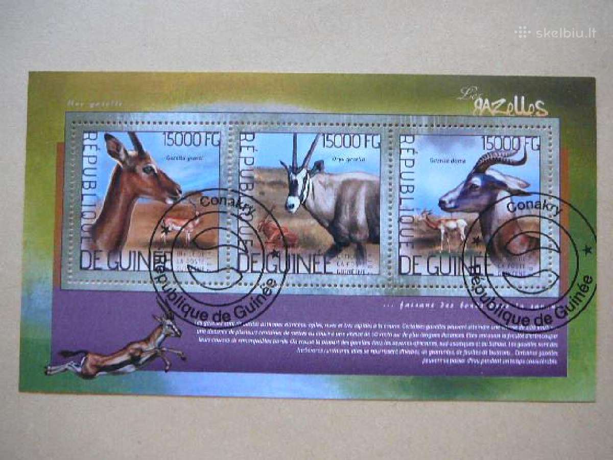 Antilopes Gvineja 2014 antsp. gvn21